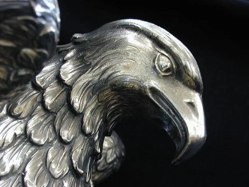 Águila Gambón - Imagen 2