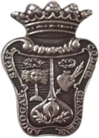 Pin Colegio de Abogados