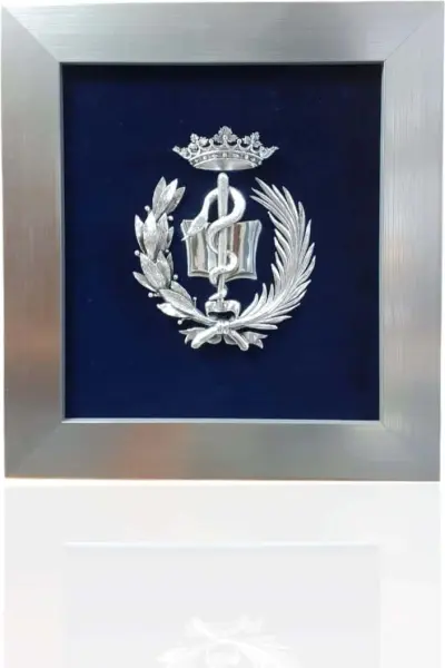 Escudo de Medicina.  Plateado.
