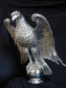 Águila Gambón