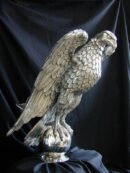Águila Gambón