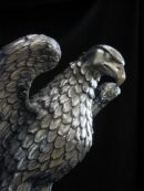 Águila Gambón