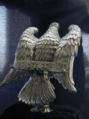 Águila Gambón