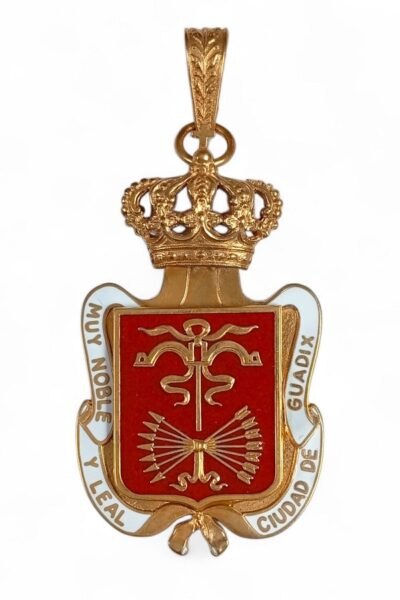 Medalla Ciudad de Guadix.